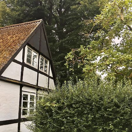 Hvidegaard Mon Hotel Stege Kültér fotó