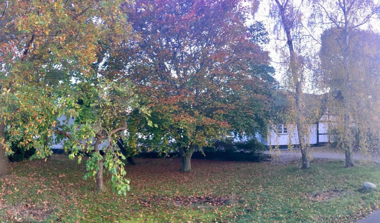 Hvidegaard Mon Hotel Stege Kültér fotó