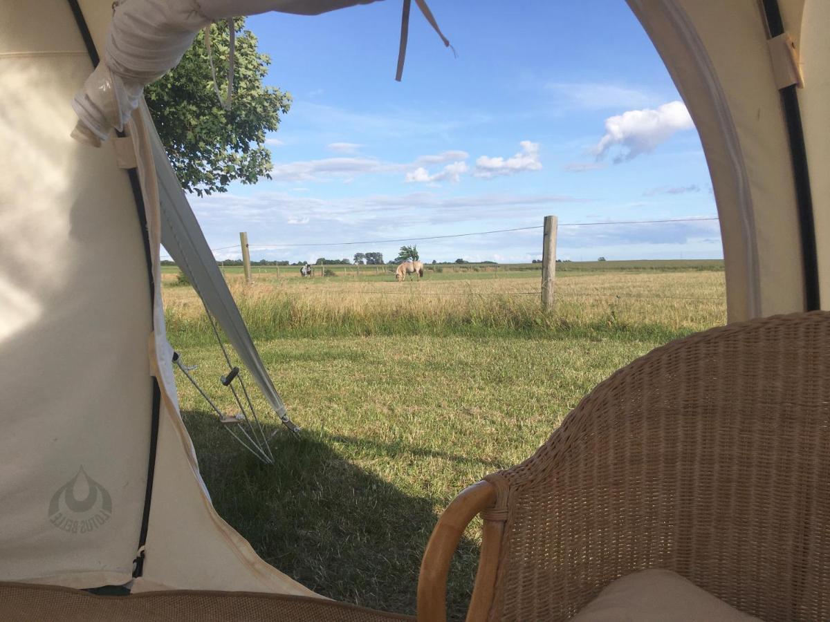 Hvidegaard Mon Hotel Stege Kültér fotó